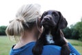 Brown cute puppy with owner