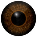 Brown 3d eye texture with black fringe Royalty Free Stock Photo