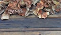 dead leaves of various tree on a wooden table