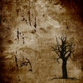 Brown dead tree silhouet grunge background