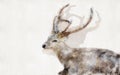 The brown deer sitting in the field. Watercolor style Royalty Free Stock Photo