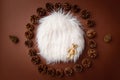 Brown digital backdrop for newborn photography with pine cones and white fur Royalty Free Stock Photo