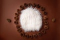 Brown digital backdrop for newborn photography with pine cones and white fur Royalty Free Stock Photo