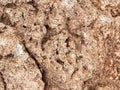 Brown dirt desert rocky hillside mountain cliff wall nature earth geological background