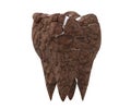 brown dirty plaque molar tooth