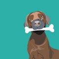 Dog biting a bone as a reward flat illustration Royalty Free Stock Photo