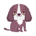 Brown dog domestic sitting cartoon pets