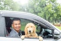 Brown dog Golden Retriever sitting in the car at the raining day Royalty Free Stock Photo