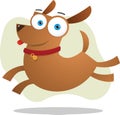 Brown dog jumping Royalty Free Stock Photo