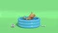 Brown dog jumping into pool water splash green background 3d render summer concept Royalty Free Stock Photo