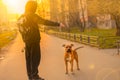 A brown dog pitbull with a black nose and drooping ears stands and don`t looking at the owner man in black Royalty Free Stock Photo