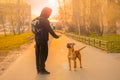A brown dog pitbull with a black nose and drooping ears stands and looks at the owner man with outstretched hand Royalty Free Stock Photo