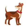 Brown dog icon cartoon isolated Royalty Free Stock Photo