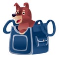 Brown dog sitting in a blue carrier and waiting when he goes on a trip by plane or train, isolated object on a white