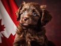 Brown dog is sitting in front of a canadian flag