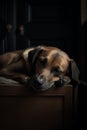 Brown dog sleeping.generative AI image Royalty Free Stock Photo