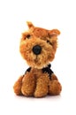 Brown dog toy Royalty Free Stock Photo