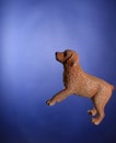 Brown dog toy isolated on blue Royalty Free Stock Photo
