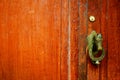 Brown door with bronze horse head doorhandle