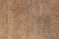 Brown doormat texture. Natural carpet texture Royalty Free Stock Photo