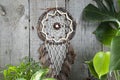 Brown dream catcher on gray background. Royalty Free Stock Photo