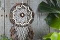 Brown dreamcatcher on gray background.