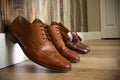 Brown Dress shoes Royalty Free Stock Photo