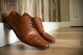 Brown Dress shoes Royalty Free Stock Photo