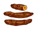 Brown dried bananas, delicious food, sweet dessert fruits