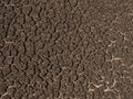 Brown dried crack soil earth background. Royalty Free Stock Photo