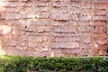 Brown dried foliage wall of cottage with bamboo patterns and green plant for vintage background Royalty Free Stock Photo