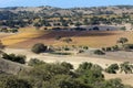 Drought stricken central coast wine country California Royalty Free Stock Photo