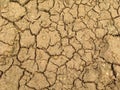 Dried brown ground covered with small cracks Royalty Free Stock Photo