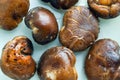 Dried Shiitake Mushrooms look fresh in the water Royalty Free Stock Photo