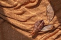 Brown dry fall leaves on terracotta, rust color knitted cloth crumpled messy background with natural sunlight shadows