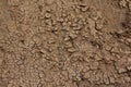 Brown dry land background At the top view Royalty Free Stock Photo