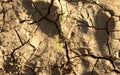 Brown dry land crackling with drought Royalty Free Stock Photo