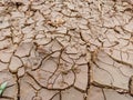 Brown dry soil or cracked ground texture background. Cracked earth, cracked soil Royalty Free Stock Photo