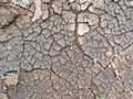 Brown dry soil or cracked ground texture background. Cracked earth, cracked soil Royalty Free Stock Photo