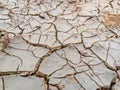 Brown dry soil or cracked ground texture background. Cracked earth, cracked soil Royalty Free Stock Photo