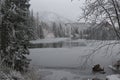 Brown ducks in a frozen lake in cold winten in High Tatras in Slovakia Royalty Free Stock Photo