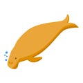 Brown dugong icon isometric vector. Sea baby