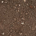 Brown earth fragment Royalty Free Stock Photo