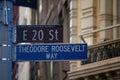 Brown East 20th Street and Theodore Roosevelt Way historic sign in Midtown Manhattan in New York City in Ladies Mile Historic