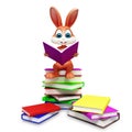 Brown Easter bunny with reading book