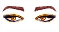 Brown eastern almond-shaped eyes with makeup, golden brown eyeshadows, black outline, mascara, brown eyebrows