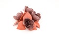 Brown edible roses made of modeling chocolate