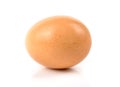 Brown egg Royalty Free Stock Photo