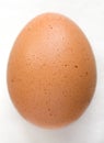 Brown Egg Royalty Free Stock Photo
