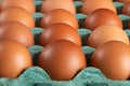 Brown egg carton close up Royalty Free Stock Photo